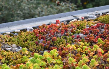 the cost of Doncaster Common green roof installation