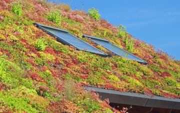 Doncaster Common living roof systems